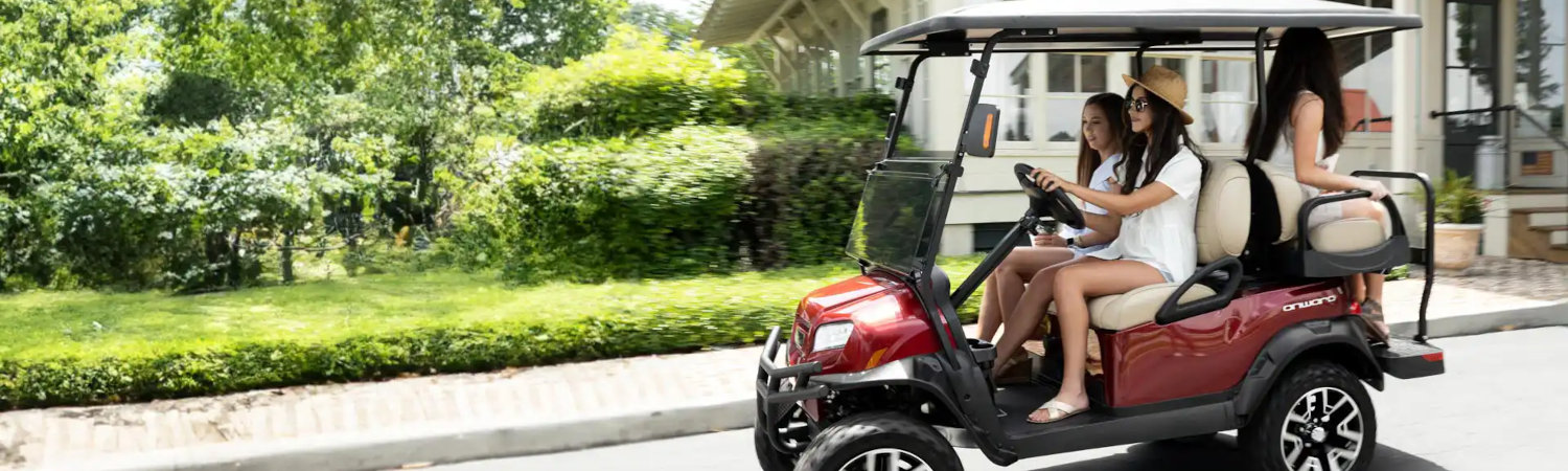 2025 Club Car® Golf Cart for sale in Tri Cities Golf Carts, Blountville, Tennessee